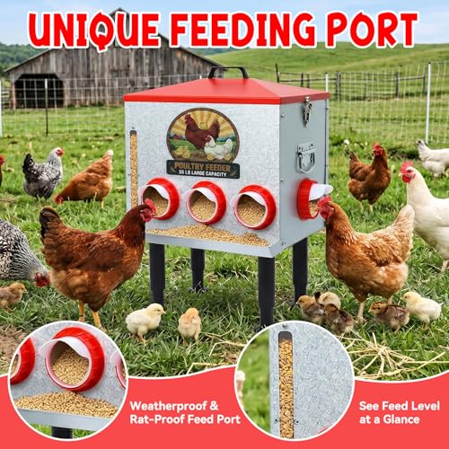 55LB Automatic Chicken Feeder Large with 8 No-Waste Ports | Large Poultry Feeder, Adjustable Legs, Viewing Window, Rainproof Lid, Locking Cover for Chickens, Ducks and Poultry