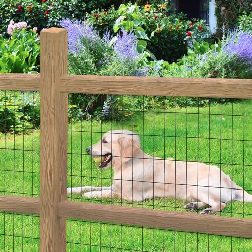 Black PVC Coated Welded Wire Fence 36" x 50' Roll, 2"x4" Mesh, 14 Gauge | Vinyl Coated Garden Fencing, Yard & Pet Barrier, Chicken Wire Fencing, Dog Enclosure Mesh, Vegetable Plant Protector - color: Black, size: 2''x4'' 14GA 36''x50'