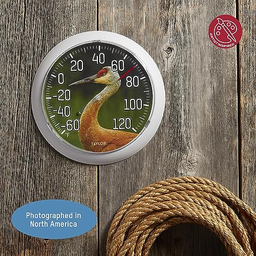 Taylor Nature Series Sandhill Crane Indoor Outdoor Dial Thermometer, Easy to Read Wall Decor for Patio, Pool, Yard, Garden or Garage, 8.5 Inch, Gray Bezel - style: Sandhill Crane