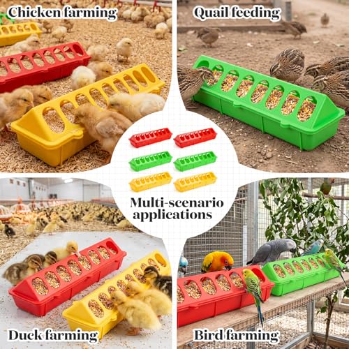 Didaey 12 Pieces Quail Feeders and Waterers Plastic Flip Top Chick Feeder No Waste Trough Dish Dispenser for Baby Chick Bird Pigeon Small Poultry Brooder Ducks, 3 Colors