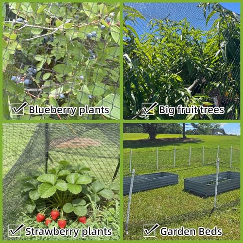 25x50ft Heavy Duty HDPE Poultry Netting,2.4" Bird Netting for Chicken Coop Run Chicken Pen,Strong Chicken Run Net Against Hawk & Predator,Tangle-Free UV Resistant (25FT)