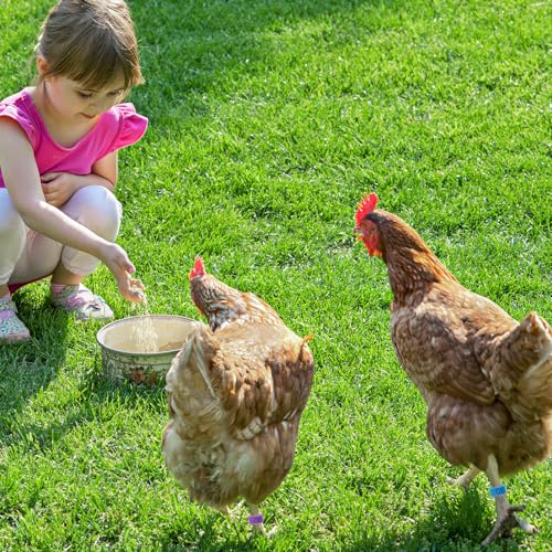 Keedolla 8 Color Chicken Leg Rings 96 Pcs, 16mm Colorful Numbered Chicken Identification Leg Bands Clip on Poultry Foot Rings Chicken Ankle Tags for Chicks Duck Bantam Guinea Pigeons Gamefowl - size: 16mm - 8 Colors