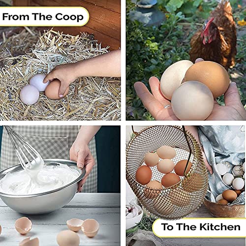 JIYUJIAHUA Egg Basket, Collapsible Mini Storage - Can Easily Load Eggs for Carrying and Collecting Eggs, Easy Washing, and Fast-drying, Country Primitive Farmhouse Style, DANLAN-001 - color: Medium