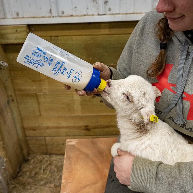 Premier 1 Wide Mouth Lamb 'N' Kid Feeding Bottle