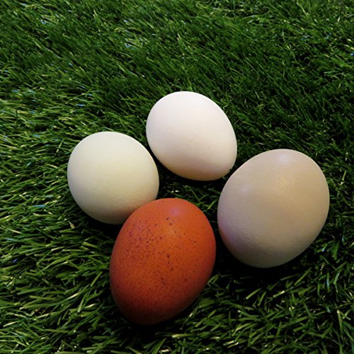 Chicken Turf Nest Box Liners