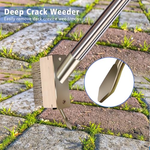 Moss Remover Brush Tool with 65in Handle for Concrete Pavers Crevice | 2 Pcs Wire Grout Brush Head, Detachable Long Handle, Crack Weeder Puller for Outdoor Deck Patios Walkways Roof Moss Removal