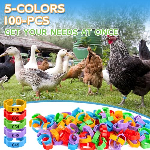 100pcs Chicken Leg Bands, 14-22mm Adjustable Poultry Tags, Durable Multi-Colored Hens Identification Leg Rings, Chicken Coop Accessories for Chickens, Chick, Ducks, Goose, Turkey, Birds