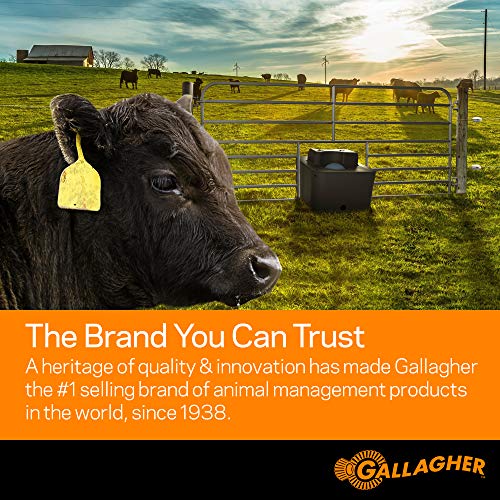 Gallagher S6 Solar Fence Charger with Digital Volt Meter | Solar-Powered Energizer for Gardens, Poultry & Livestock | Includes Digital Fence Tester to Monitor Voltage