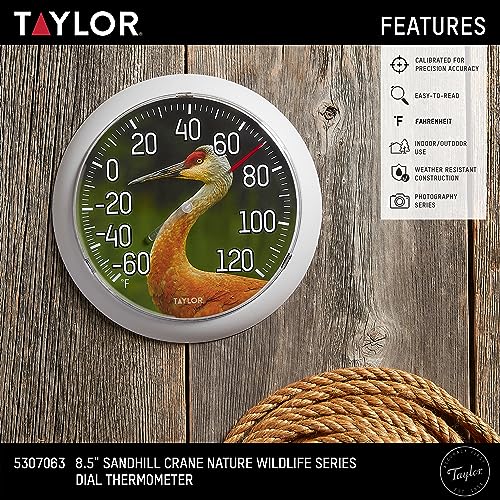 Taylor Nature Series Sandhill Crane Indoor Outdoor Dial Thermometer, Easy to Read Wall Decor for Patio, Pool, Yard, Garden or Garage, 8.5 Inch, Gray Bezel - style: Sandhill Crane