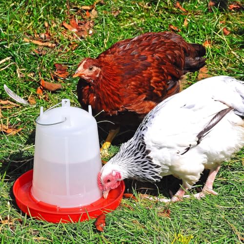Pickmesh 2 Pcs 2 Gallon Plastic Chicken Waterer for Ducks, Easy Fill | Large Plastic Chicken Waterer, Plastic Poultry Drinker, Automatic Chicken Water Feeder, Duck Baby Chicks Outdoor Farm Rabbit