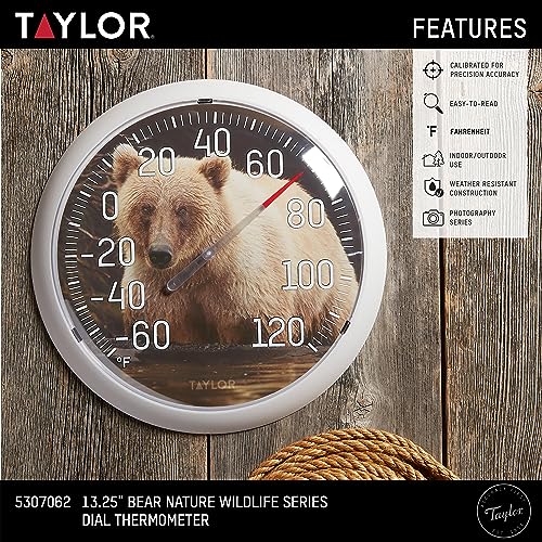 Taylor Nature Series Bear Indoor Outdoor Dial Thermometer, Easy to Read Wall Decor for Patio, Pool, Yard, Garden or Garage, 13.25 Inch, Tan Bezel - style: Bear