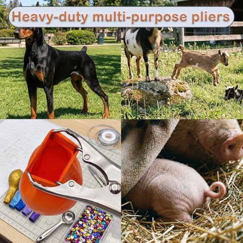 Goat Banding Kit, Livestock Castration Bander with Stainless Steel Expander Pliers, 240Pcs 4 Sizes Castrator Rings and Ring Installation Tool for Goats, Lambs, Calves, Sheep, Piglets - style: Pliers，60-S, 60-M, 60-L, 60-XL