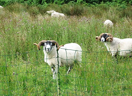 Portable Electric Fencing Net, PE Fence Netting with Condutors for Sheep and Goat with Step-in Fence Post, 35"x164', Green