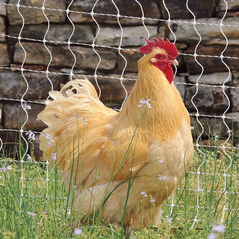 Premier 1 PoultryNet® Plus, Starter Kit for Chickens – 42"H x 100'L | White/black. Includes solar energizer, support posts & tester. Double spike, posts every 6.8 ft to reduce sag. For chickens.