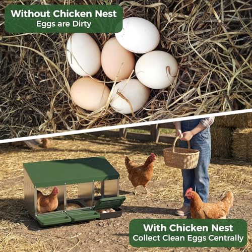 3-Compartment Chicken Nesting Box, Heavy Duty Galvanized Steel Poultry Nest Box, Wall Mount/Freestanding Design for Hens, Ducks, Backyard Homesteads & Farm Use, Green, with Soft Mats, No Stand - color: Green, size: 3 Room&Mat Board