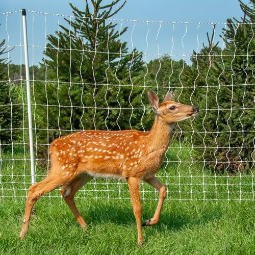 Premier 1 PermaNet® PrimaLite™ Fence – Sheep & Goats – 48"H x 100'L | White/black. Step-in wedge posts for extra stability. For sheep & goats. Keeps out coyotes & dogs. Energizer sold separately. - size: 100 ft