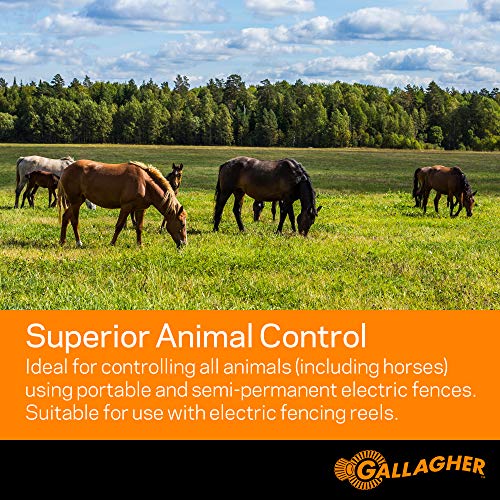 Gallagher Electric Fence Poly Tape | Ultra White 656 Ft Roll | 5 Stainless Steel Rust Resistant Strands | Suitable for Portable & Semi Permanent Electric Fences | UV Resistant 1/2" Diameter Poly Tape