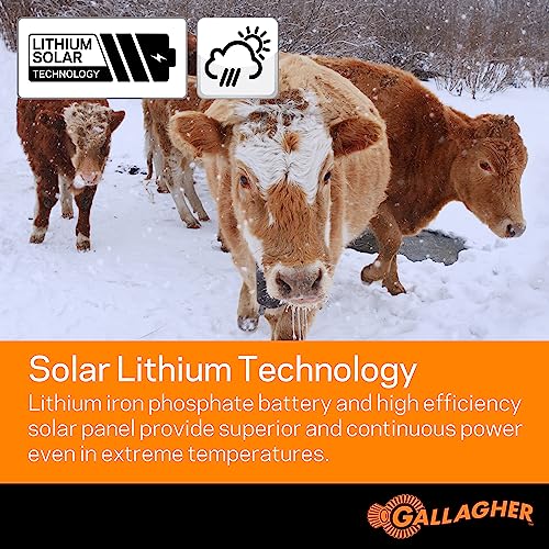 Gallagher S30 Solar Electric Fence Charger | Solar Fence Energizer for Cattle, Horses, Goats, Small Pastures, Predator Control | 4-Mile Typical 20-Mile Ideal Range | Solar Powered with Lithium Battery