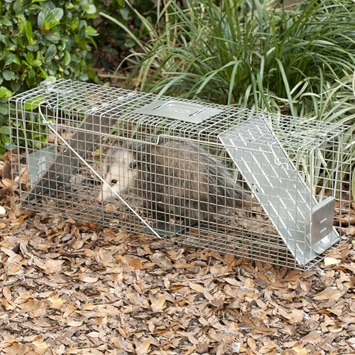 Havahart Large 2 Door Humane Catch and Release Live Animal Trap for Armadillos, Beavers, Bobcats, Small Dogs, Cats, Foxes, Groundhogs, Nutria, Opossums, Raccoons, Live Catch Trap for Stray Dogs 1045SR