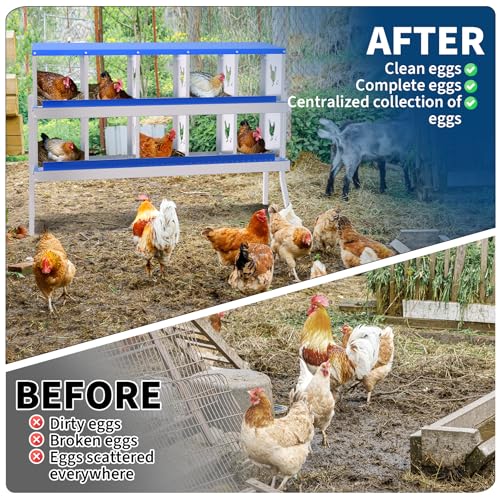 TrailBlaze Galvanized Steel Chicken Nesting Box - 10 Compartments, Roll Away Egg System, Rustproof, Ventilated, Removable Tray, Easy Clean, Bracket Included - Blue, 10 Compartments, with Bracket - color: Blue, size: 10 Holes with Legs