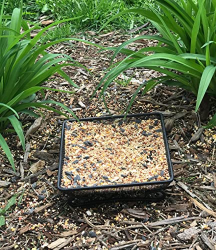 Ground Bird Feeder Tray 8 inches Square Platform Metal Mesh Seed Holder Outdoor Garden Decoration for Attracting Wild Birds