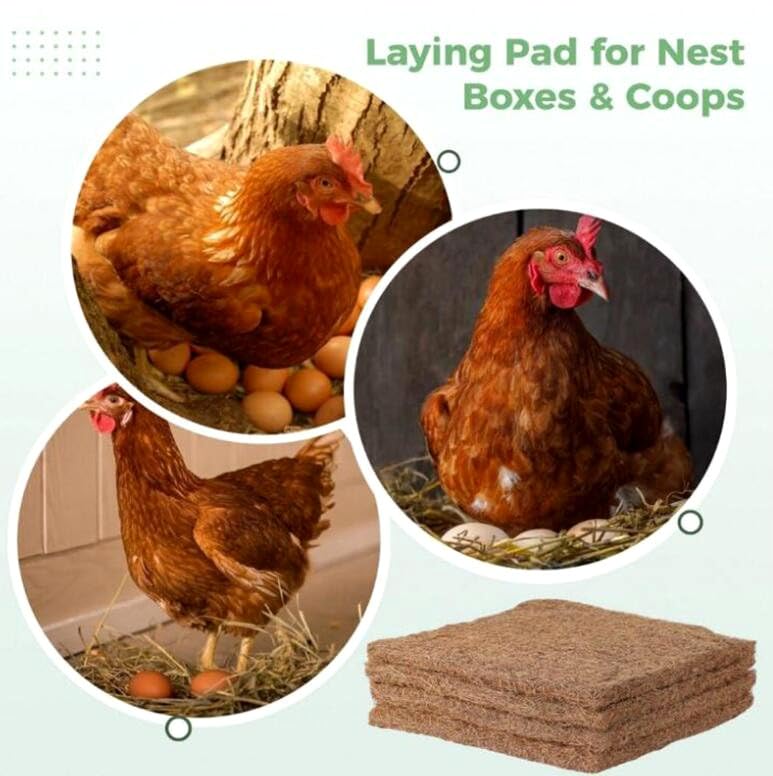 4 Pack Chicken Nesting Pads Box Rabbit Hutch Organic Supplies Coop Nest Liners Natural Coconut Palm Hens Nest Bedding Mats 13x13inch Multi-Role Poultry Supplies for Laying Eggs