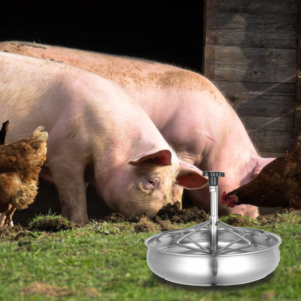 Stainless Steel Feeding Bowl Trough for Livestock and Pigs 9.84X9.84X3.54 Inch Multi-Compartment Rust Proof Farm Feeder Easy to Clean