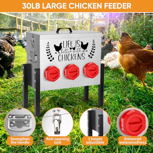 ‎Tgeyd 30 lb Chicken Feeder with 6 No-Waste Ports – Heavy-Duty Outdoor Metal Feeder with Adjustable Height, Locking Lid & Riveted Handles – Rustproof Feed Box for Poultry & Backyard Chickens - color: Rose-bengal