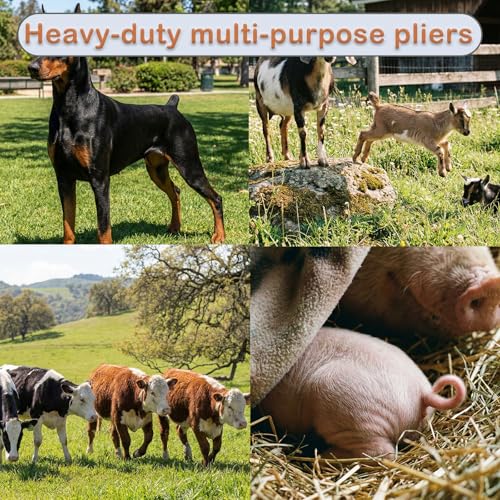 Goat Banding Kit, Livestock Latex Castration Bands, 120Pcs 4 Sizes Castrator Rings for Goats, Lambs, Calves, Sheep, Piglets - style: 30-S, 30-M, 30-L, 30-XL