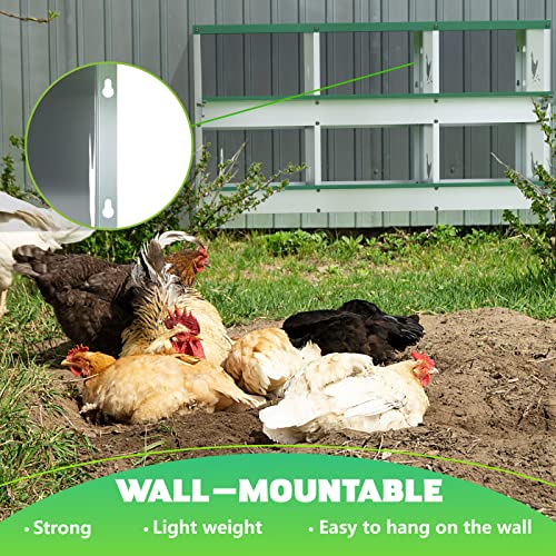 TOCRETOARE 6 Holes Chicken Nesting Boxes for Laying Eggs, Heavy Duty Metal Nest Boxes for Chicken and Poultry to Collect Eggs, Chicken Laying Boxes Hens Chicken Coop Box - size: 6 Hole