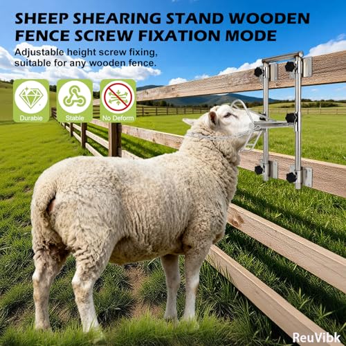 Sturdy Goat Sheep Stand, Livestock Trimming Goat Stand Adjustable Height 304 Stainless Steel Shearing Stand Portable Sheep Head Fixture, for Goat/Sheep Milking, Shearing & Trimming Stands