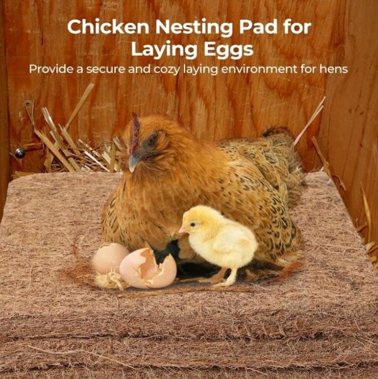4 Pack Chicken Nesting Pads Box Rabbit Hutch Organic Supplies Coop Nest Liners Natural Coconut Palm Hens Nest Bedding Mats 13x13inch Multi-Role Poultry Supplies for Laying Eggs