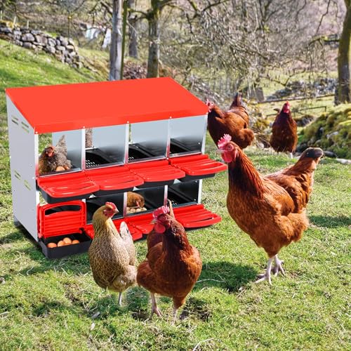 8-Compartment Chicken Nesting Box, Heavy Duty Galvanized Steel Poultry Nest Box, Wall Mount/Freestanding Design for Hens, Ducks, Backyard Homesteads & Farm Use, Red, No Stand - color: Red, size: 8 Room