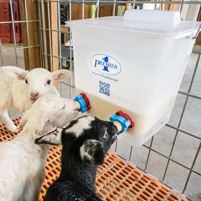 Premier 1 Lamb 'N' Goat Kid Prima Orphan Feeding Bucket – 2.5 Gal, Square | 4 nipple holes. Square, see-through bucket for easy milk monitoring & cleaning. For orphan lambs & goat kids. - size: 2.5 Gallon Square - 4 Holes