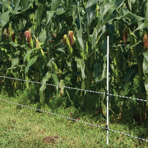 Premier 1 IntelliRope® PE 6.0 Electric Fence Rope – 6mm, 660 ft | 3 tinned copper + 3 SS filaments. Resists wear & abrasion. 10-year probable life. For permanent & portable fences.