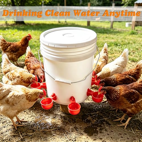 Chicken Waterer Cups, DIY Automatic Poultry Watering Bowl Device | Large 6pcs Turkey Waterer Feeder, Poultry Watering System Water Feeder Kit Suitable for Duck, Chicks, Goose, Bunny and Bird