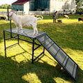 Adjustable Metal Goat Milking Stand，600LBS with Ramp & Feed Bin | Heavy duty livestock organizer suitable for goats, sheep and lambs for daily milking, grooming and hoof trimming on farms.