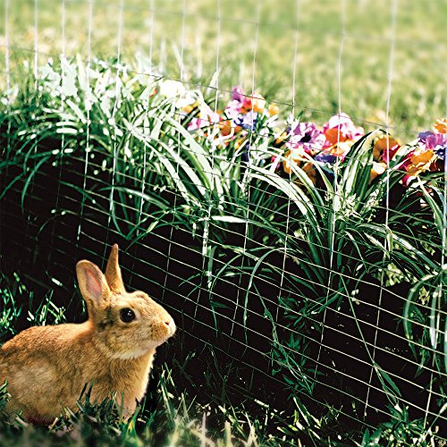 YARDGARD 2 in. x 4 in. Mesh Welded Wire Fence Roll, 60 in. x 50 ft., 14-Gauge Galvanized Steel Fence for Animal Enclosures, Garden Protection and Property Fencing, Rabbit Control an Utility Fence - size: Under 3' H