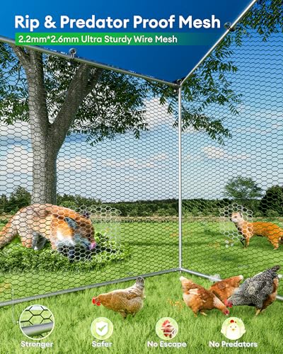 BUCATSTATE Large Metal Chicken Coop 6.6FT x 9.8FT x 6.6FT, Outdoor Walk-in Poultry Cage for 9-13 Hens, Predator Resistant Chicken Run with Thick Waterproof PE Cover & Dual Lock Doors