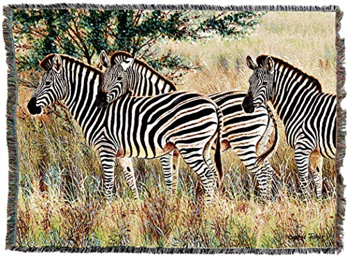 Pure Country Weavers Three Zebra Group Blanket by Cynthie Fisher - Gift Tapestry Throw Woven from Cotton - Made in the USA (72x54) - color: Zebras