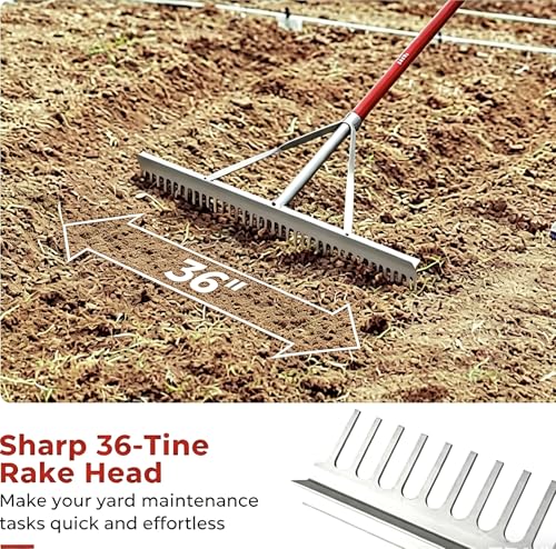 KYLIN 36 Inch / 36 Tines Aluminum Landscape Rake with 66 Inch Extra-Long Handle, Versatile Rake for Lawn Care,Loosening Soil, Weeding, Leveling Gravel, Beach Sand - Lighweight & Rust Proof