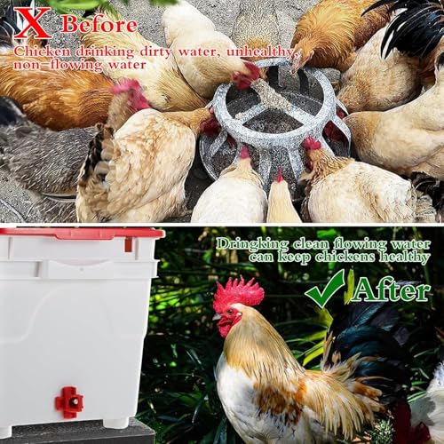 40 Pcs Horizontal Chicken Waterer Nipples with Drill Bits, Leakproof Poultry Watering System for Chicken Coop, Durable ABS Plastic & Stainless Steel, Water Saving Design for Outdoor Use