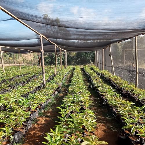 40% Shade Cloth for Plants, 8X25Ft Greenhouse Shade Cloth, Plant Shade Cover from Sun, Outdoor Mesh Tarp for Garden, Vegetables, Flowers, Potted Plants Heat Protection. | Plant Shade Cover from Sun, Breathable Sunshade Fabric for Garden, Vegetables, Flowe