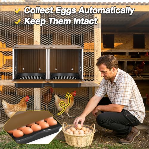 Chicken Nesting Box, 2 Compartment Nesting Boxes for Chickens, Large Chicken Laying Boxes for Egg Collection & Hen on Nest, Roll Away Nesting Boxes Chicken (Extra Large)
