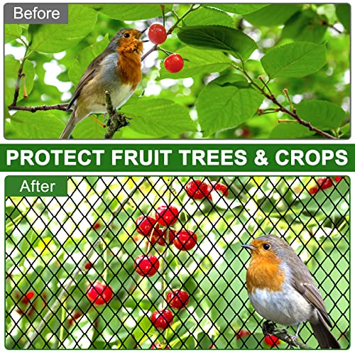 DQS Bird Netting 25x100ft, 1" Square Mesh Poultry Netting for Chicken Coop | Heavy Duty Garden Netting, Fruit Tree Netting for Blueberry Bushes, Vegetable Against Squirrels, Deer, Pests Trellis Net - size: 1", 25' x100'