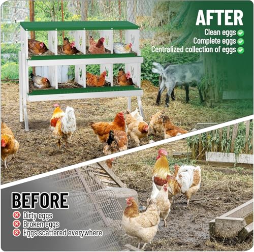 Chicken Nesting Box, 8-Hole Nesting Boxes with Bracket Legs, Removable Tray, Ventilation Holes, Easy Egg Collection & Cleaning, Laying Boxes for Hens,Green - color: Green, size: 42.7"L x 16.9"W x 26.6"H