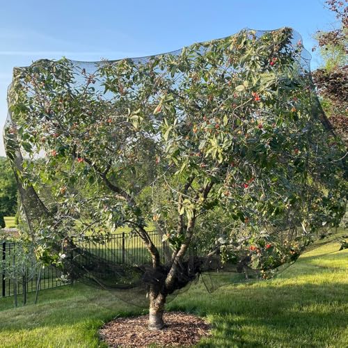 Bird Netting for Chicken Coop 30x30 Ft, 1/2" Mesh Aviary Netting | Aviary Netting - size: 30x30Ft-1/2"