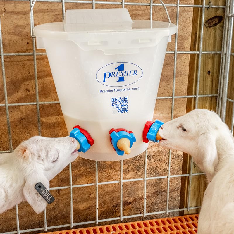 Premier 1 Lamb 'N' Goat Kid Prima Orphan Feeding Bucket – 2 Gal, Round | 3 nipple holes. See-through bucket for easy milk monitoring. Easy to clean. For orphan lambs & goat kids. - size: 2 Gallon Round - 3 Holes