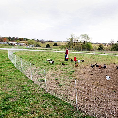 Premier 1 PoultryNet® Plus, Electric Fence for Chickens – 48"H x 100'L | White/black. Double spike for extra stability. Posts every 6.8 ft to reduce sag. Chickens & ducks. Energizer sold separately.