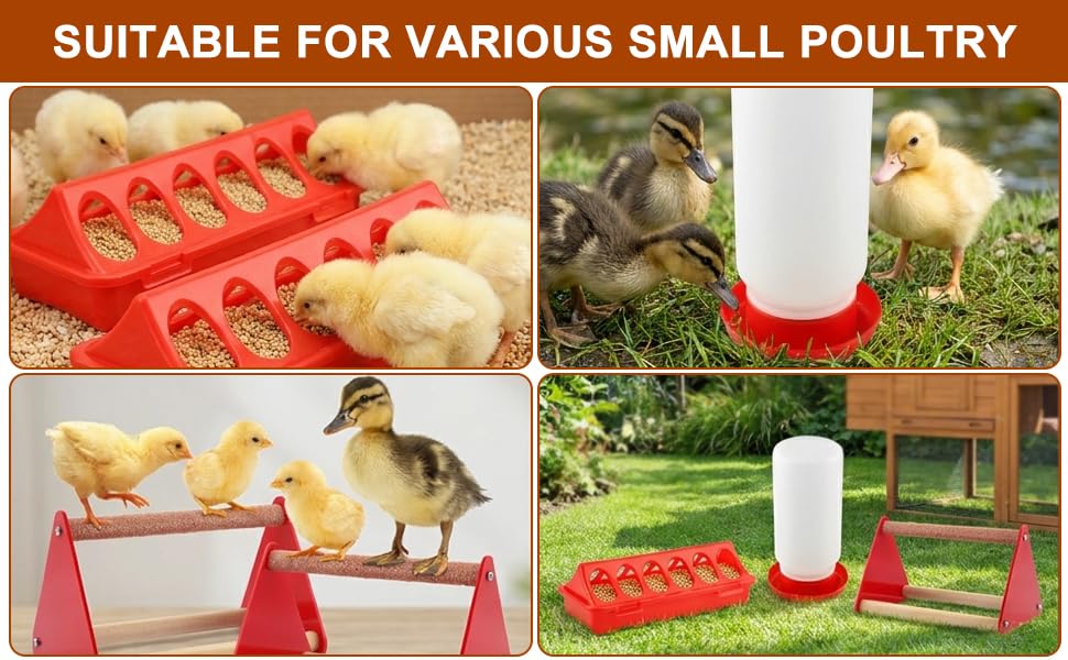 Chick Feeder and Waterer Kit with 2 Chick Perch Roost Bars | Flip Top Poultry Feeder, Chick Brooder Starter Kit, Baby Chicken Supplies for Chicks, Duck and Quail